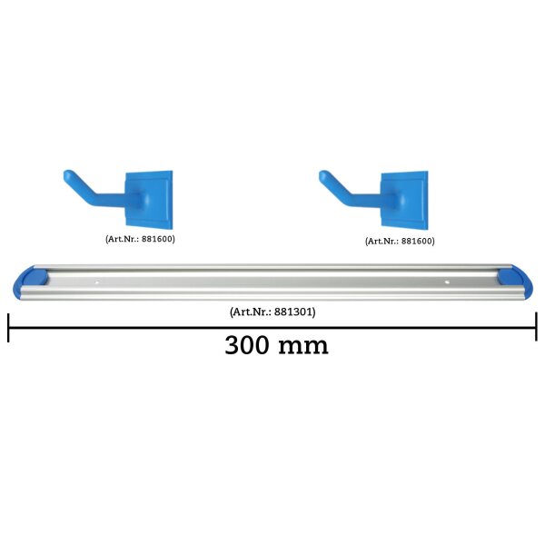 Wandschienen System 300 mm konfigurierbar - 2 Haken - blau